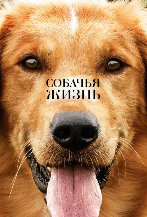 Фильм Собачья жизнь 2017 смотреть онлайн с Джошем Гадом и Кей Джей Апа